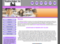 thereadinghelper.com