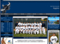 usubaseball.com