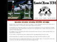 camelotfarmshorses.net