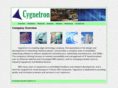 cygnetron.com