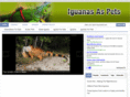 iguanasaspets.com