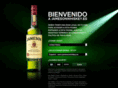 jamesonwhiskey.es