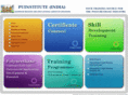 puinstitute.com