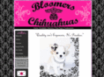 bloomerschihuahuas.com