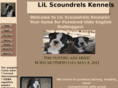 lilscoundrels.com