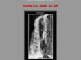 seldasalman.com