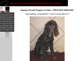 standardpoodlepuppiesforsale.com
