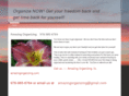 amazingorganizing.com