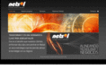 netsol-international.com