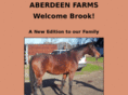 aberdeenfarms.net