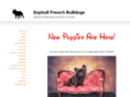 ezybullfrenchies.net