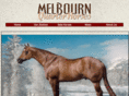 melbournquarterhorses.com