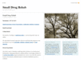 smalldrugrehab.com
