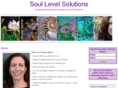 soullevelsolutions.com