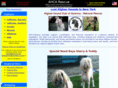 afghanhound.net