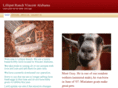 lilliputranch.com