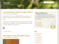 oegugin.com
