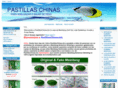 pastillaschinas.net