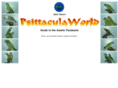 psittacula-world.com