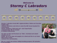 stormyclabradors.com