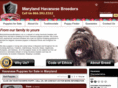 marylandhavanesebreeders.com