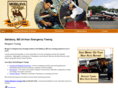 morganstowing.com