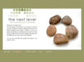 thenextlevelcoaches.com