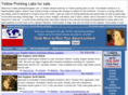 yellowpointinglabs.com