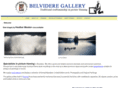 belvideregallery.com