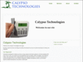 calypsotechnologies.com