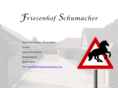 friesenhof-schumacher.com