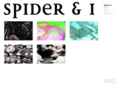 spiderandi.com
