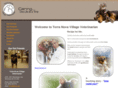 terranovavillagevet.com