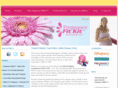 thepregnancyfitkit.com