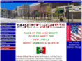 mountmorrisny.com