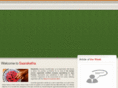 saaraketha.com