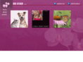 hotorchid.com