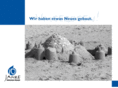schweitzer-chemie.com