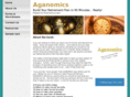 aganomicsbook.com