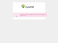 gavor.info
