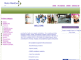 molinmedcare.com