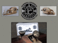 planeclassics.com