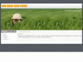 themacdonaldgroup.net