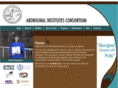 aboriginalinstitute.com