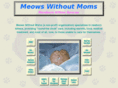 meowswithoutmoms.org