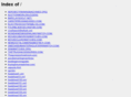 netsuccessguide.com