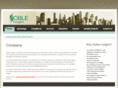 nobleinsights.com