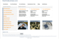 thechinabusiness.com