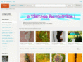 avintagerevolution.com