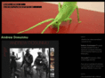 balancegrasshopper.com